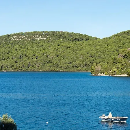 Gostinjska kuća Radulj